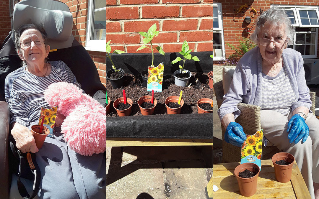 Sunflowers and smiles at Princess Christian Care Home