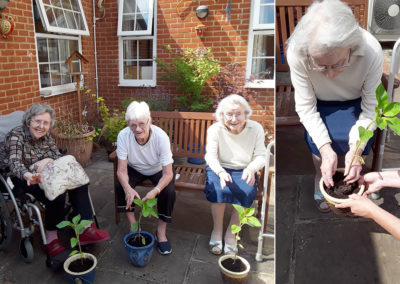 Residents repotting sunflower plants at Princess Christian