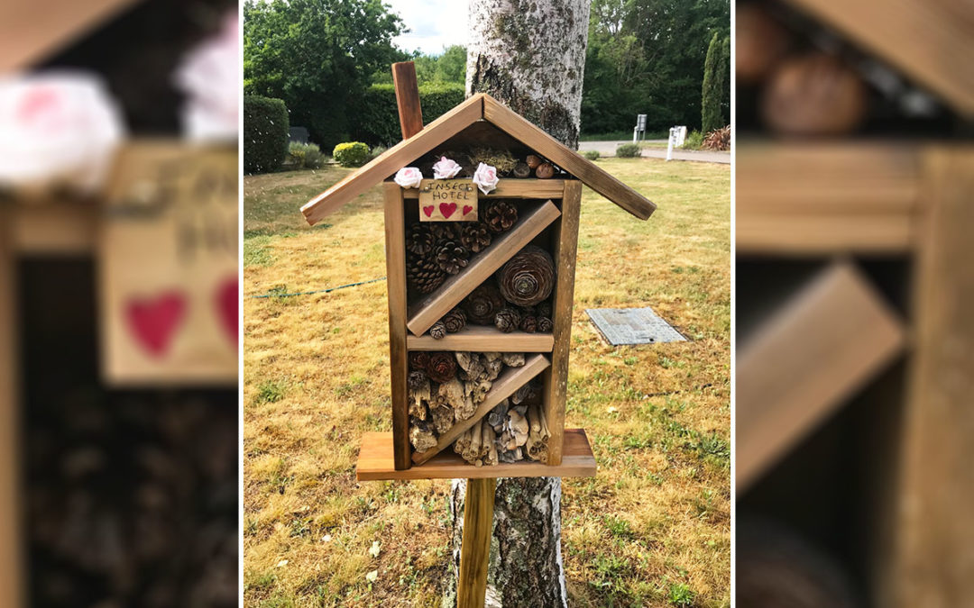 Princess Christian Care Home welcomes new Insect Hotel