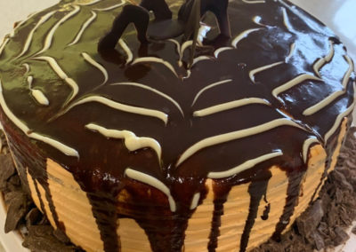 Chocolate spider and web Halloween cake at Princess Christian