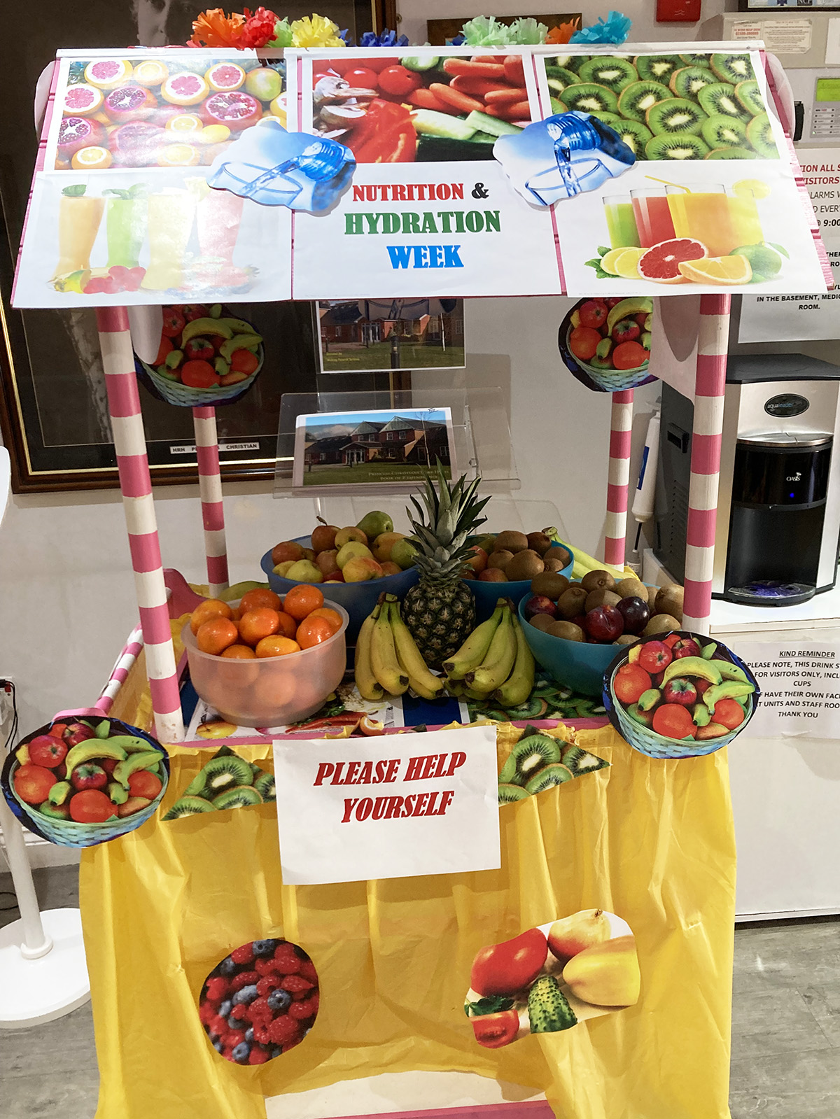 Colourful fruit trolley at Princess Christian Care Home for Nutrition and Hydration Week
