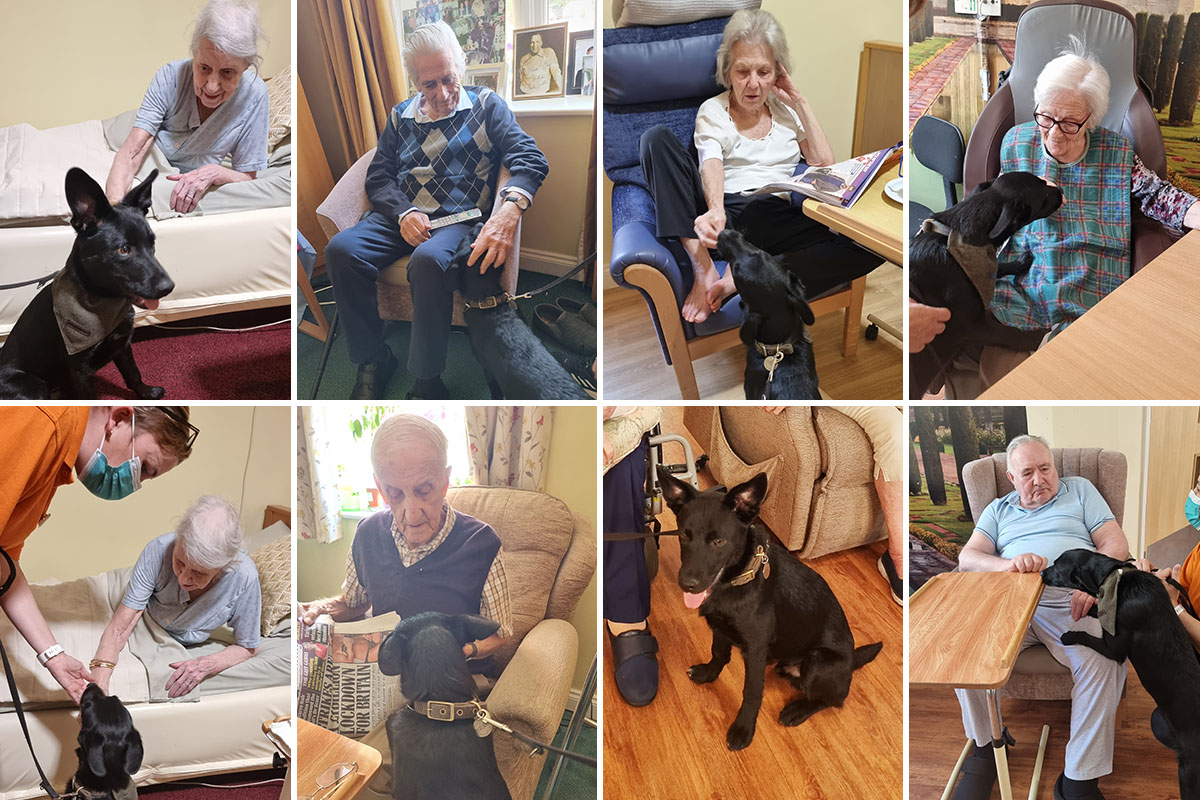 Princess Christian Care Home residents with puppy Bruno