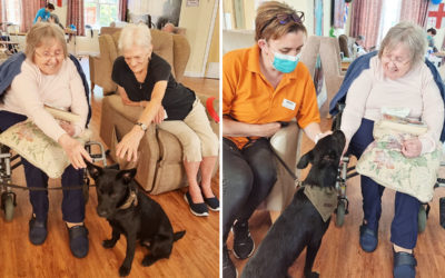 Princess Christian Care Home residents enjoying the company of puppy Bruno