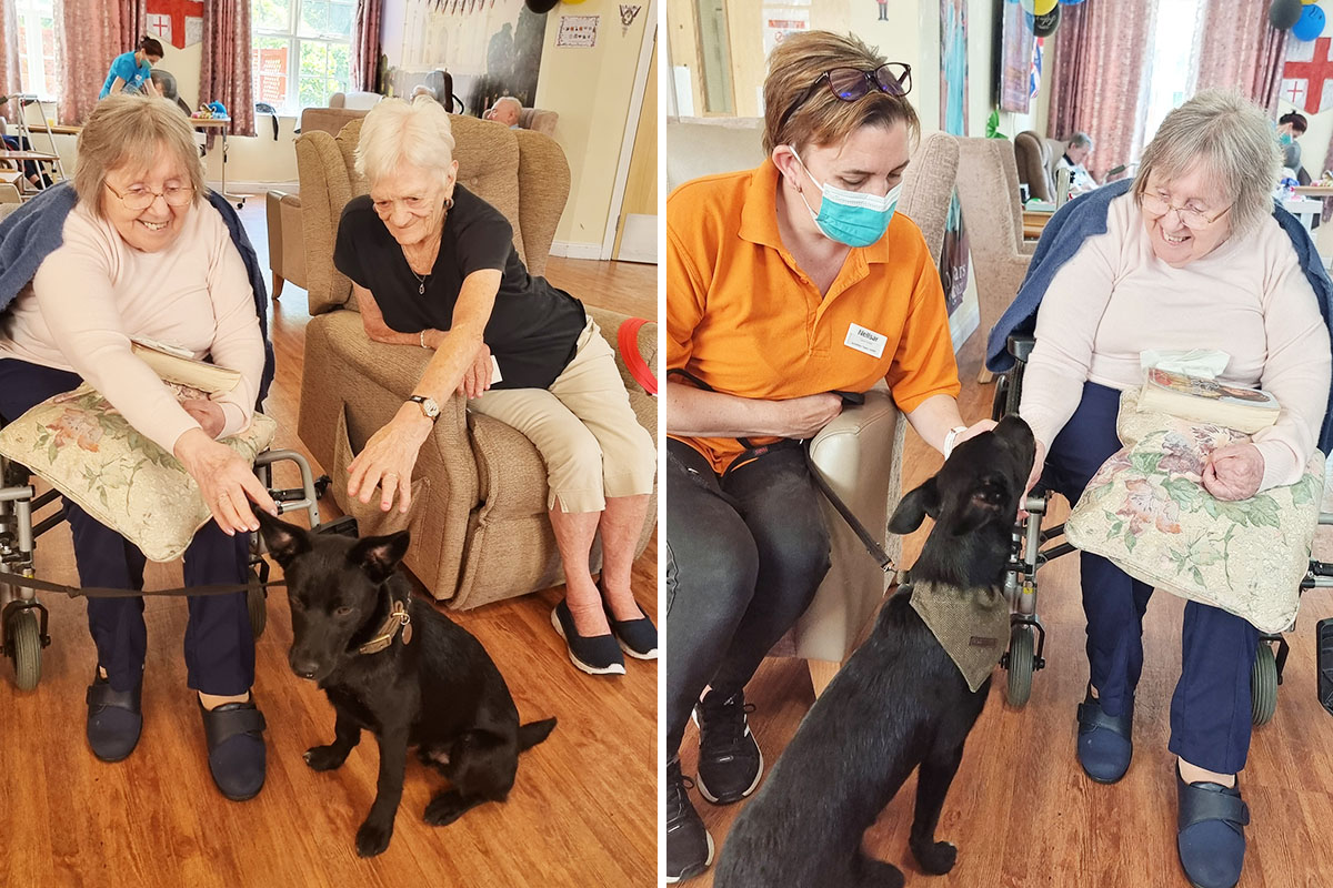 Princess Christian Care Home residents enjoy the company of puppy Bruno