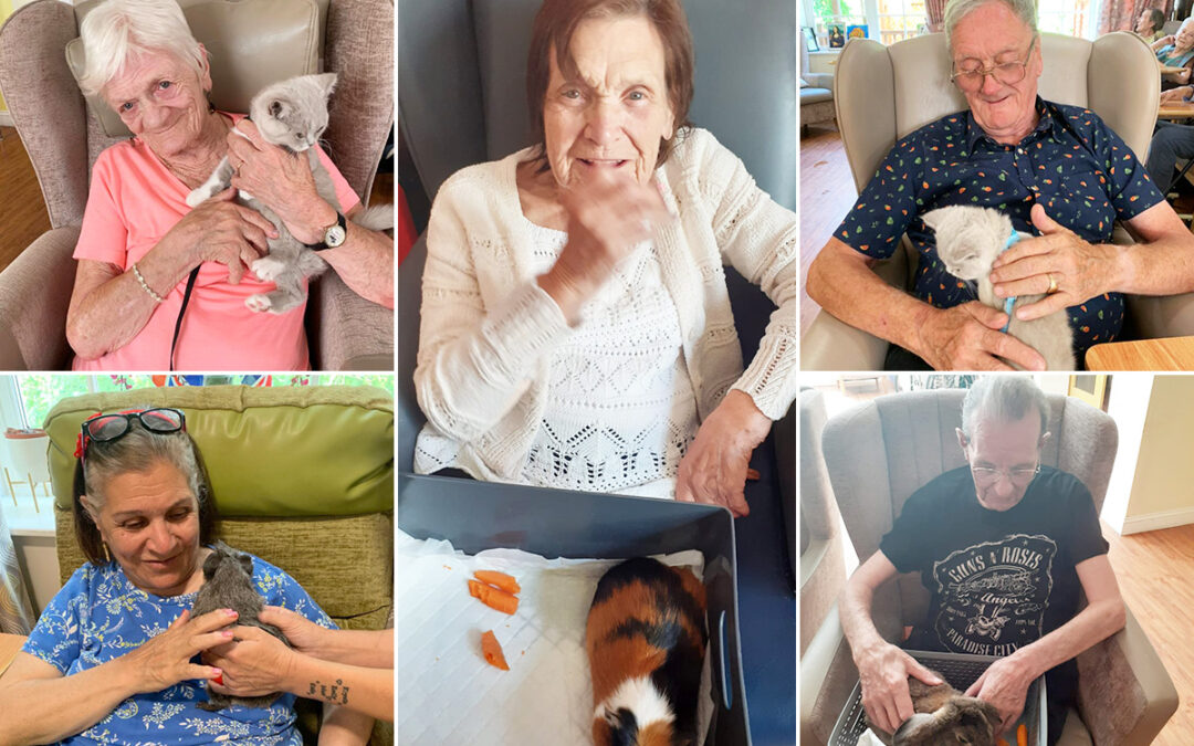 Fluffy friends bring joy to Princess Christian Care Home residents