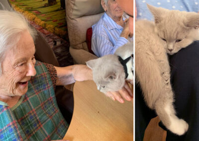 Princess Christian Care Home residents enjoying time with a kitten