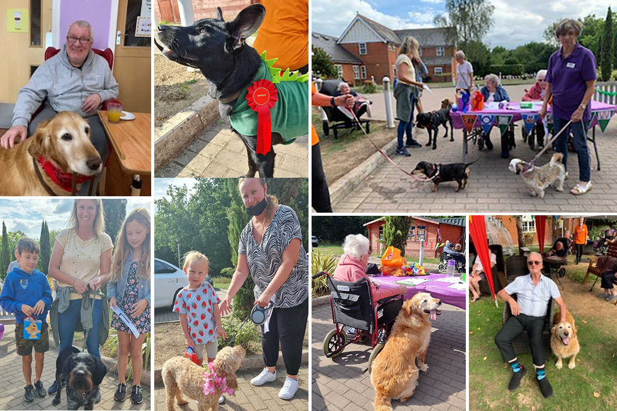 Family and friends enjoying a Dog Show at Princess Christian Care Home