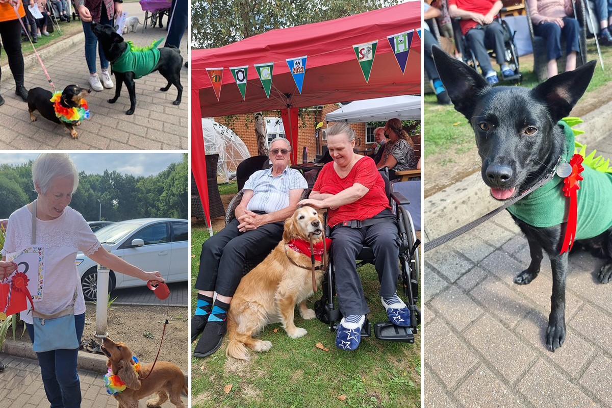 Dog Show delights at Princess Christian Care Home