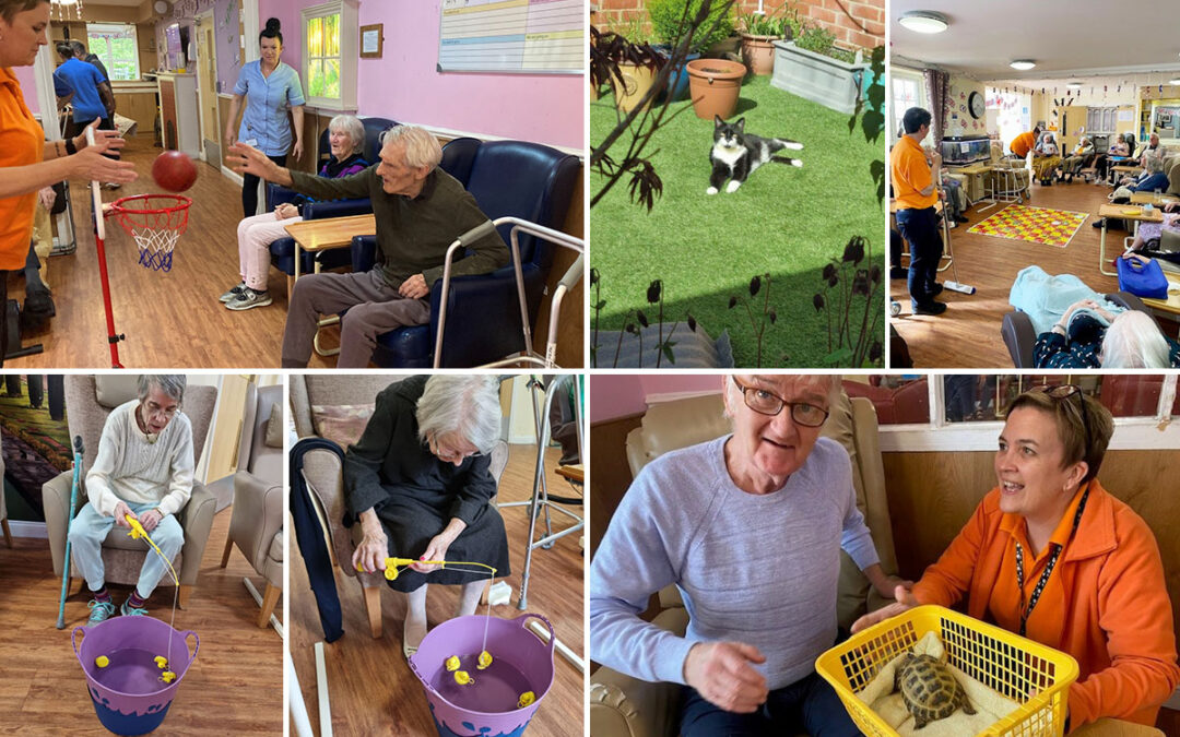 Games and Pet Therapy at Princess Christian Care Home