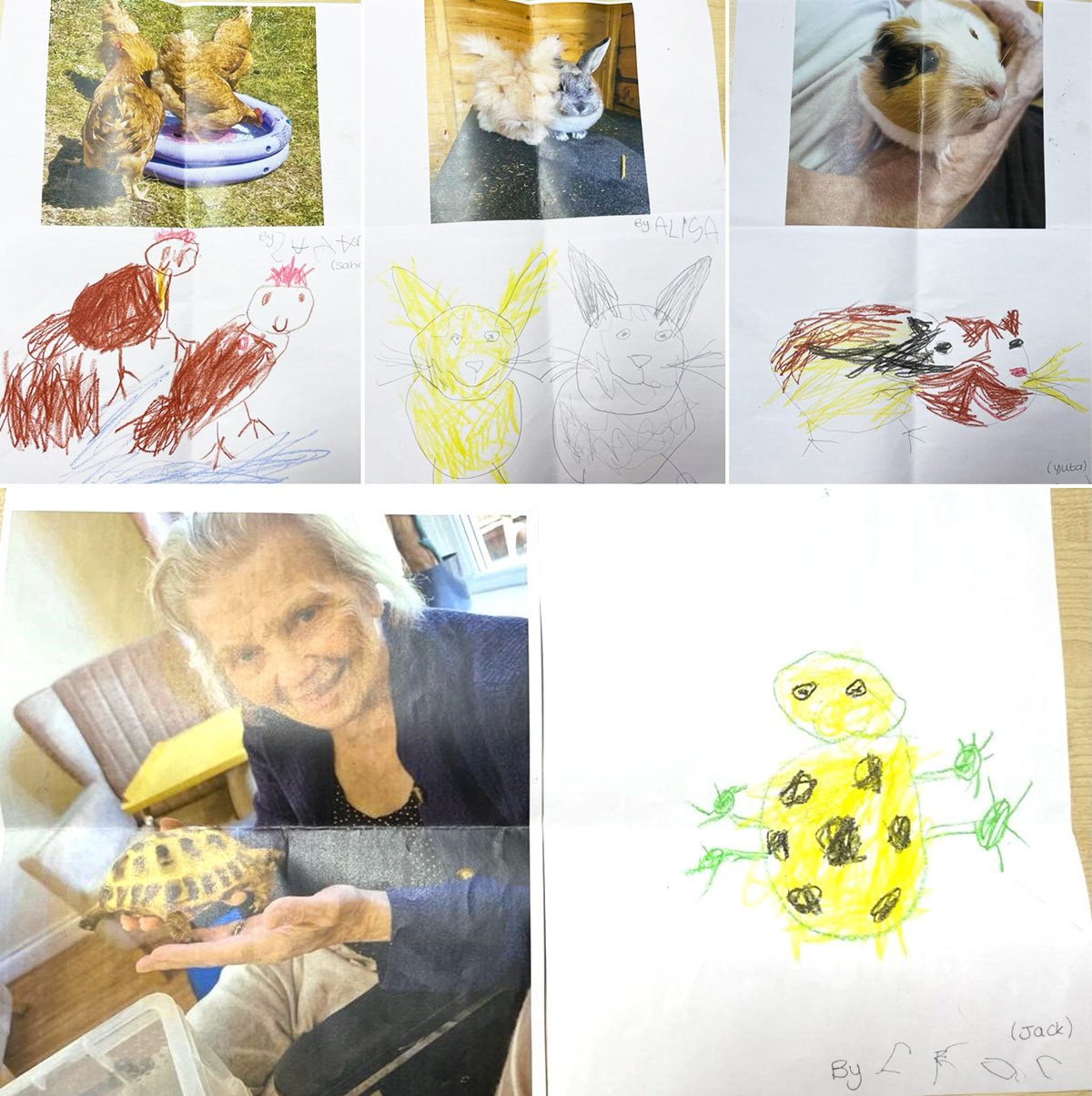 Wonderful pet drawings from a local preschool sent to Princess Christian Care Home