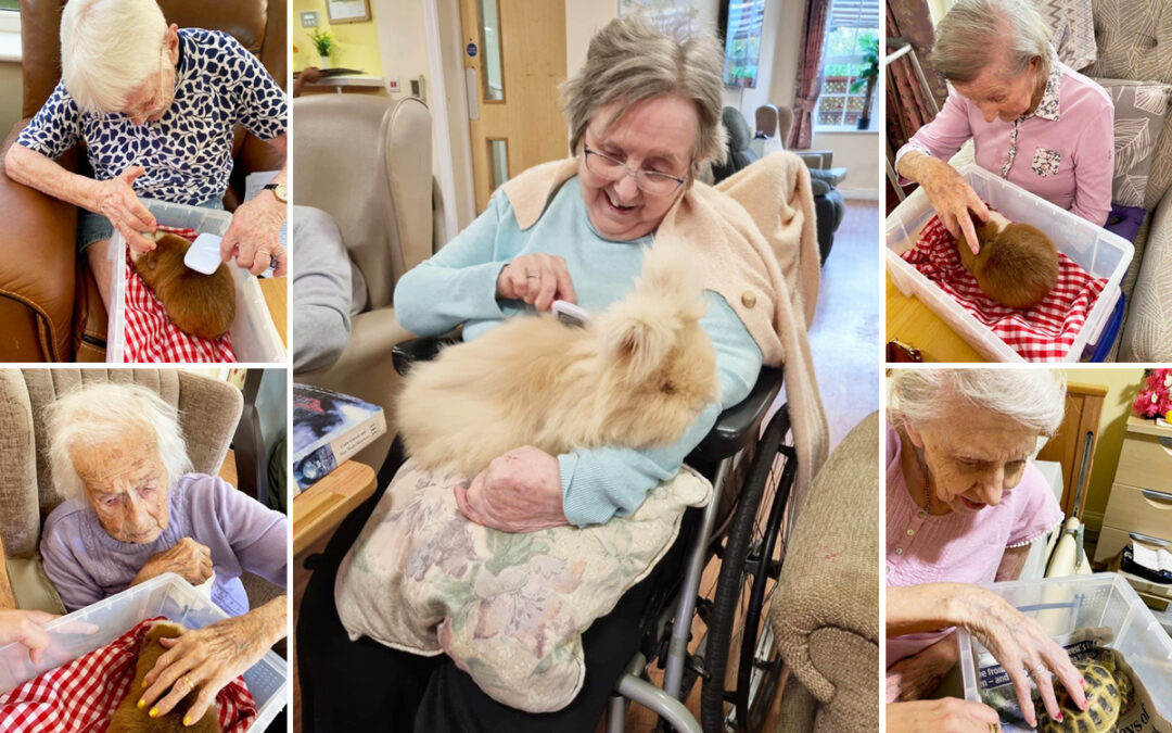Cuddles with Banana and Uggie at Princess Christian Care Home