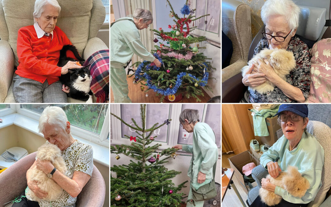 Truffle cuddles and Christmas trees at Princess Christian Care Home