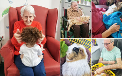 Doll and Pet Therapy proves popular at Princess Christian Care Home